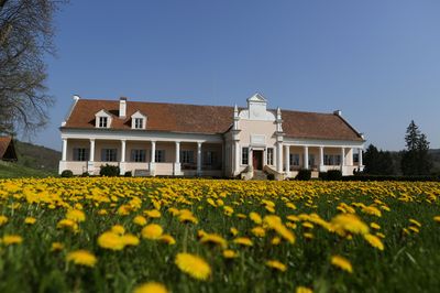 MALANCRAV - RESTAURARE - FUNDATIE - PRINTUL CHARLES