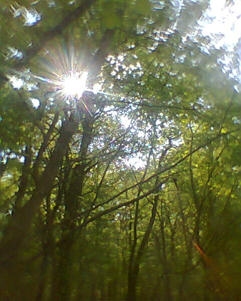 Photo0321