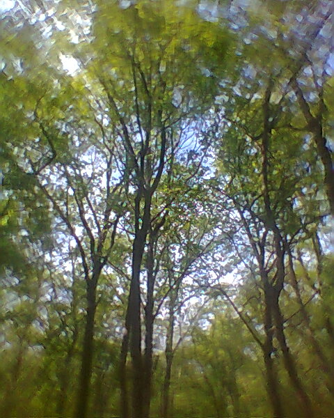 Photo0322
