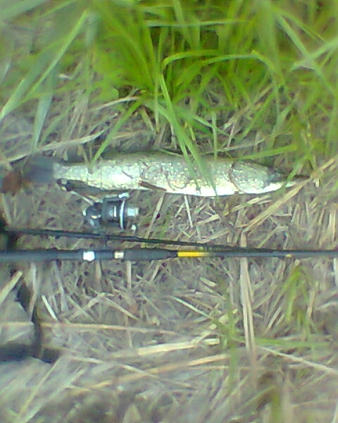 Photo0231